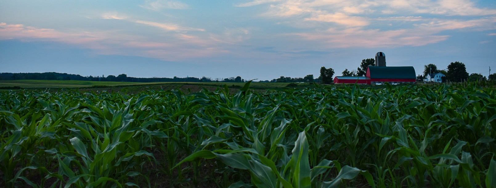 Wisconsin Music Ventures