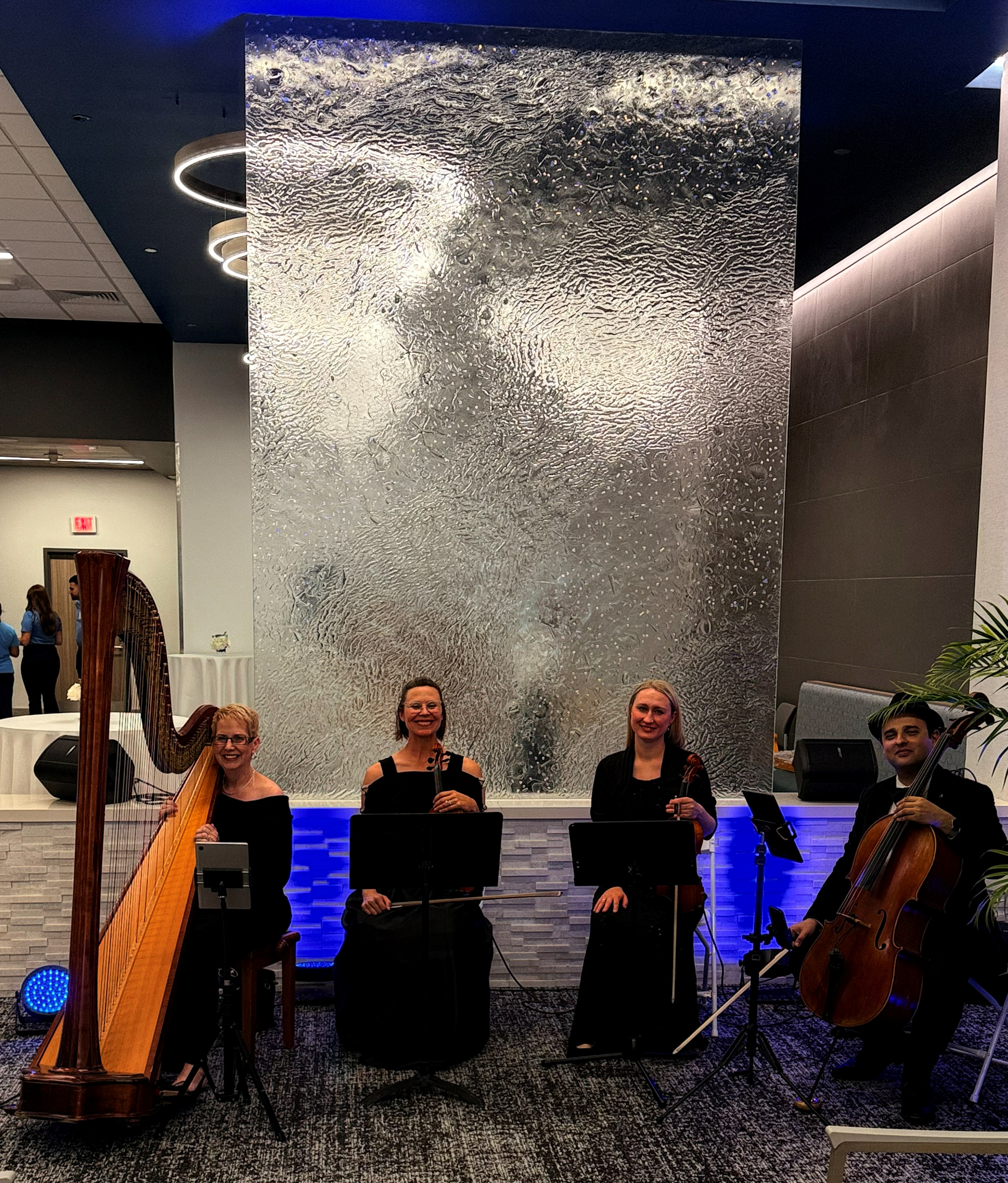 Elegant Music Collective photo