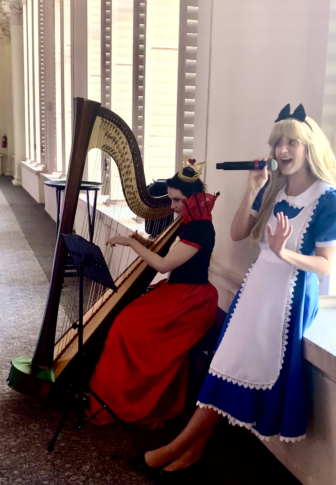 Elegant Music Collective photo