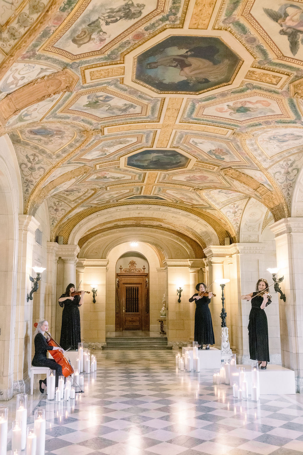 Ariana Strings photo