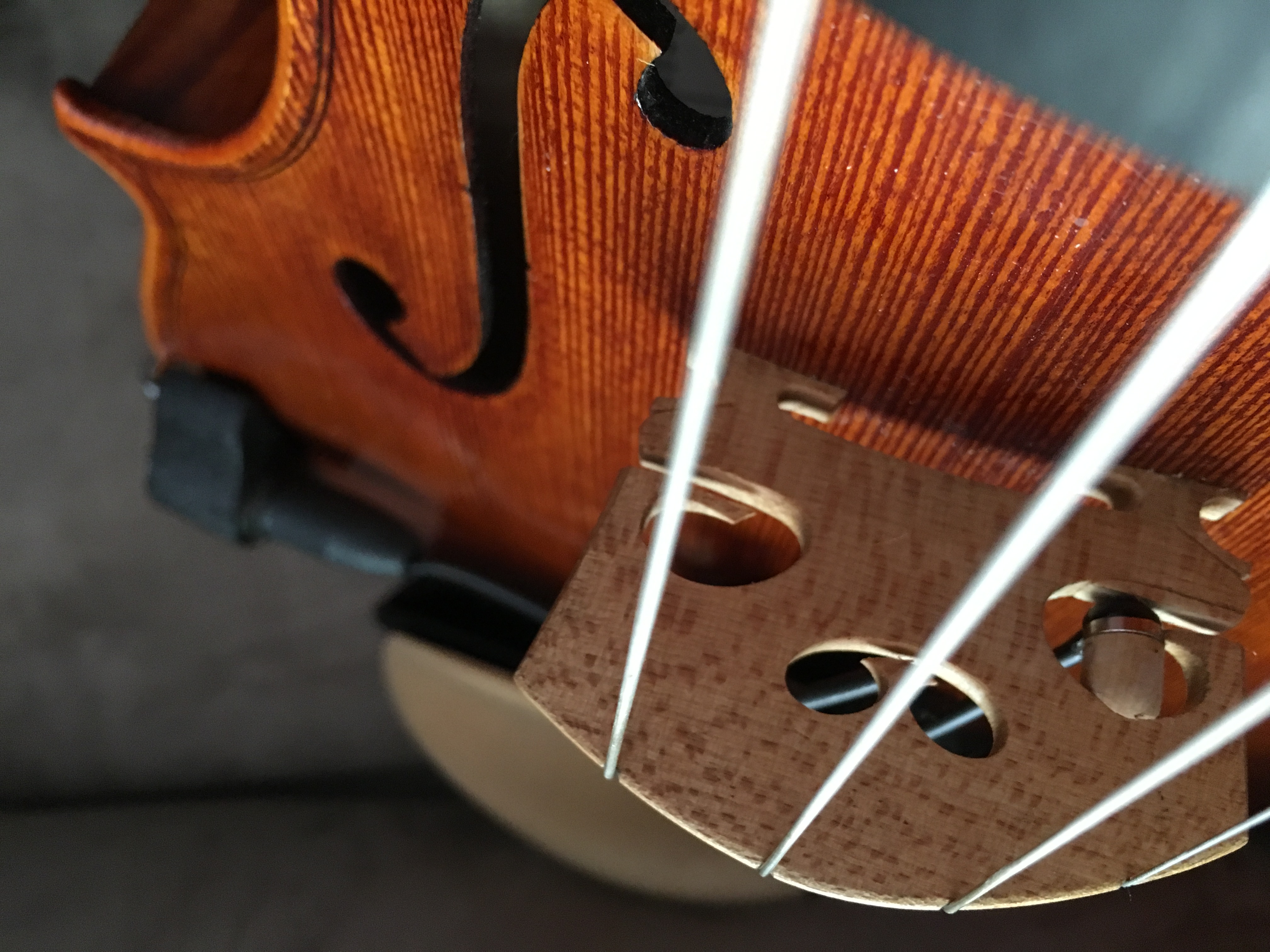 Kelsei Peppars's Profile Photo