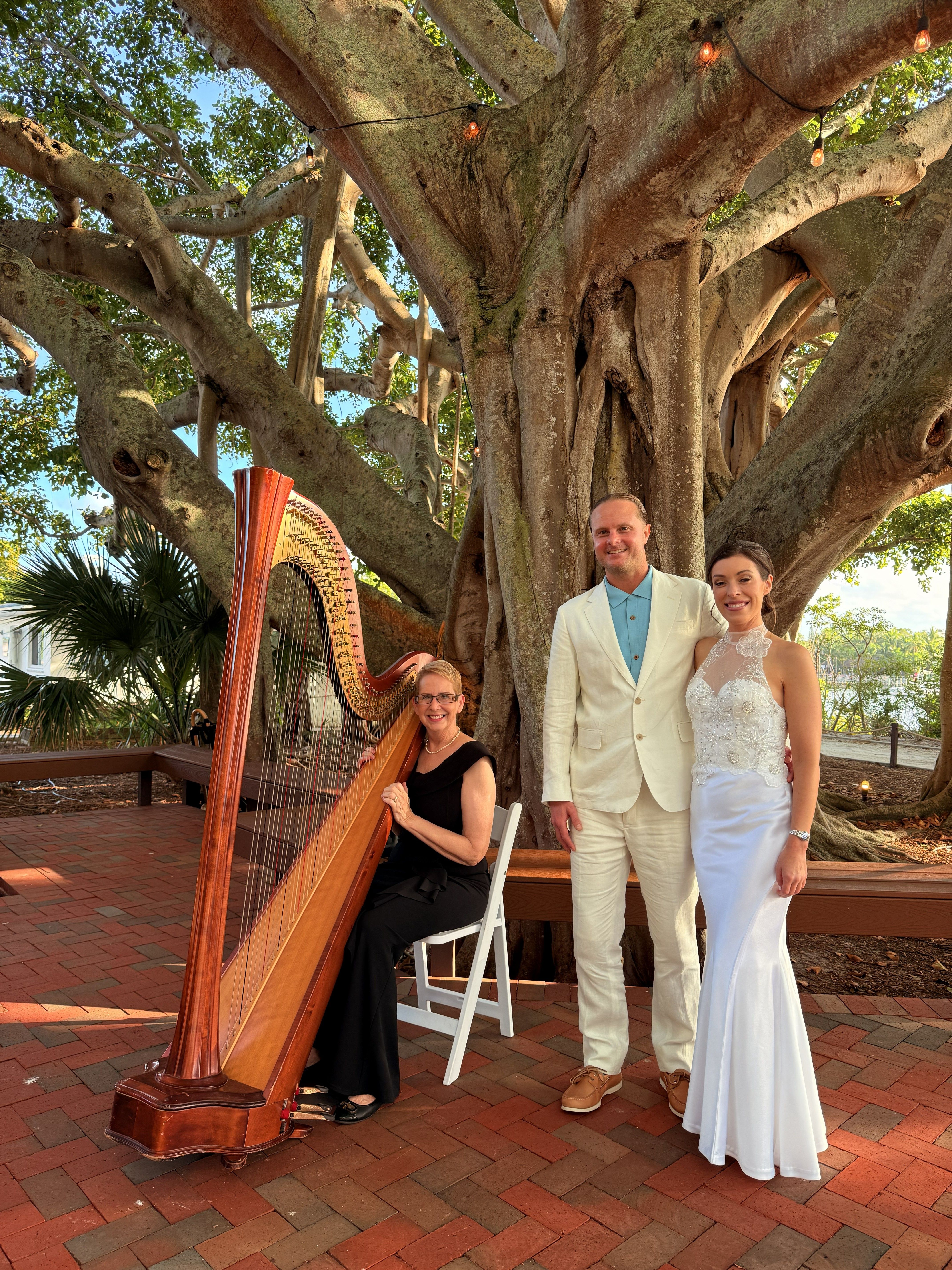 Elegant Music Collective photo