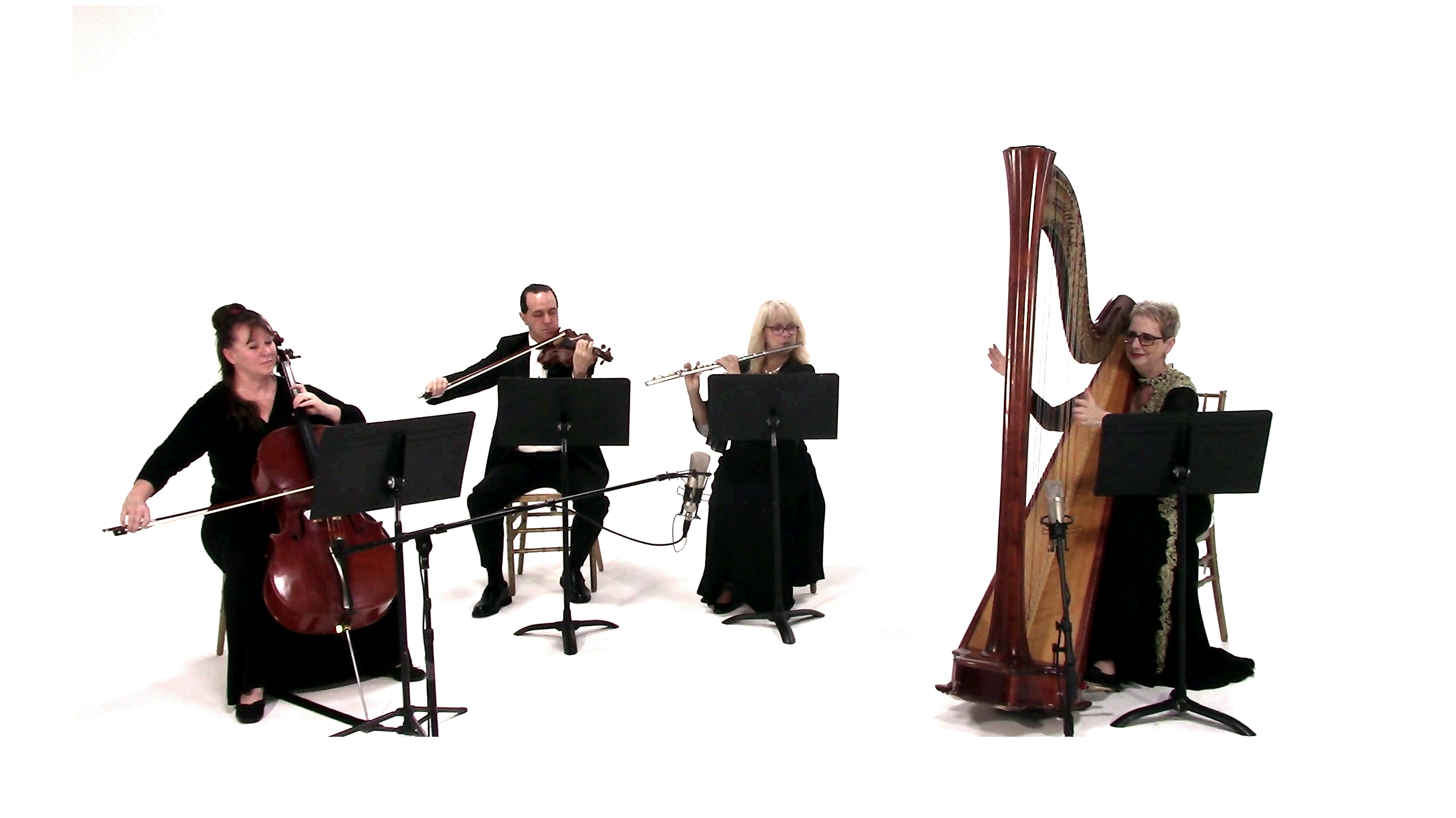 Elegant Music Collective photo