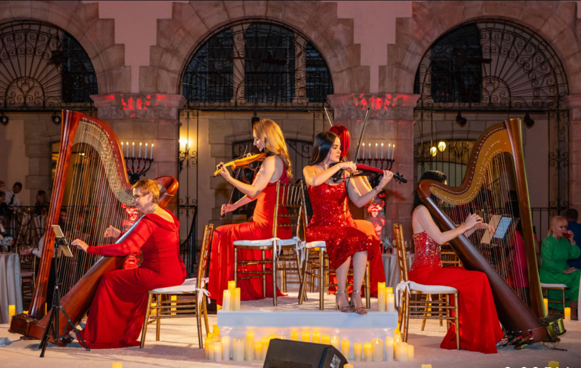 Elegant Music Collective photo