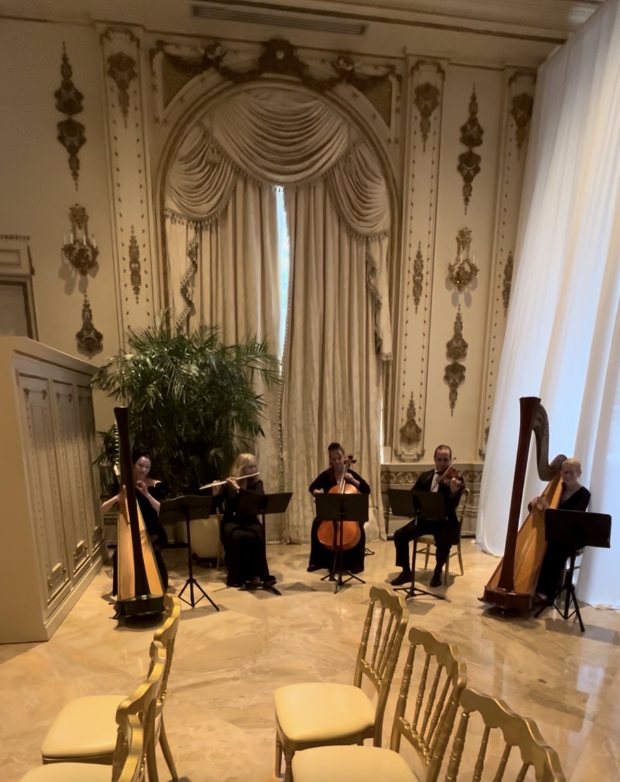 Elegant Music Collective photo