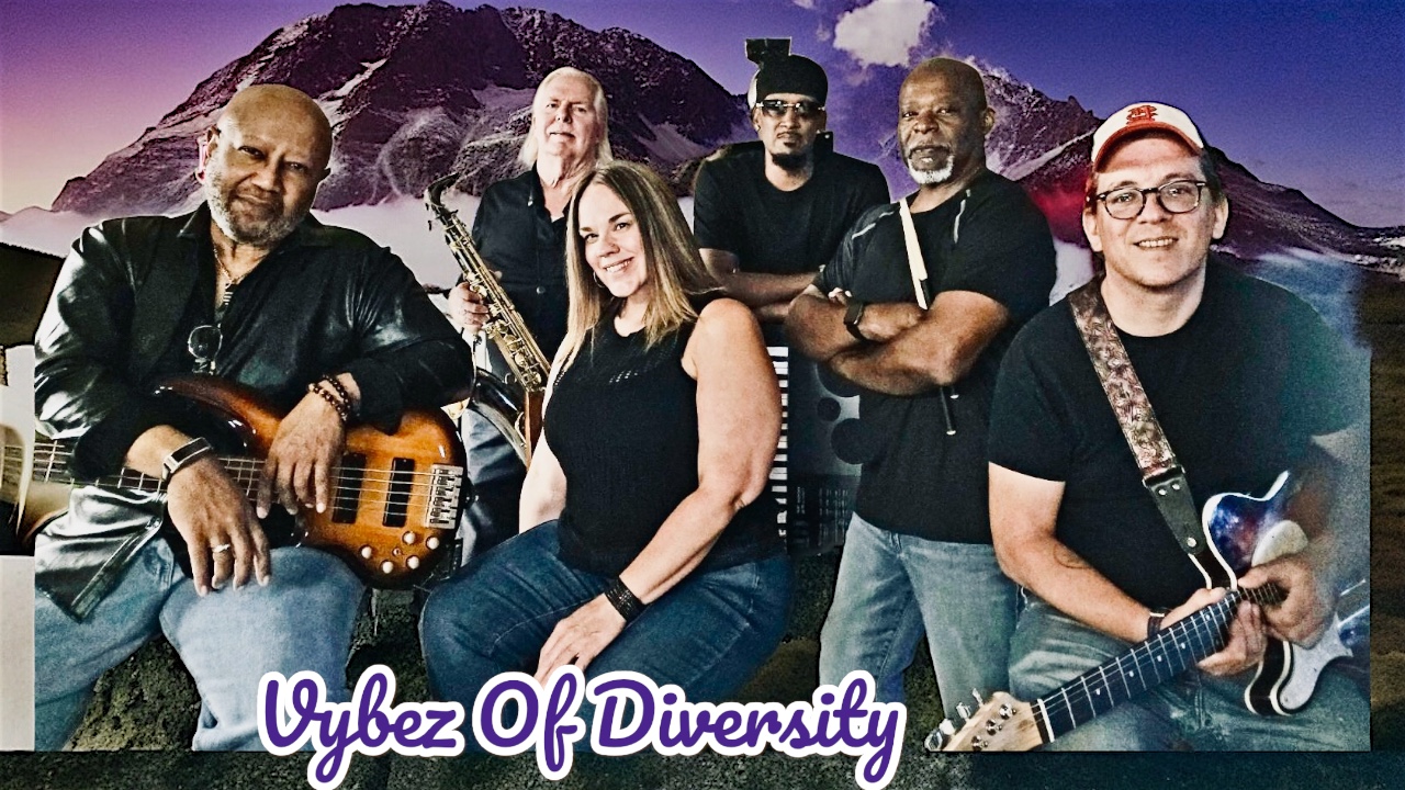 Vybez Of Diversity / cover band photo