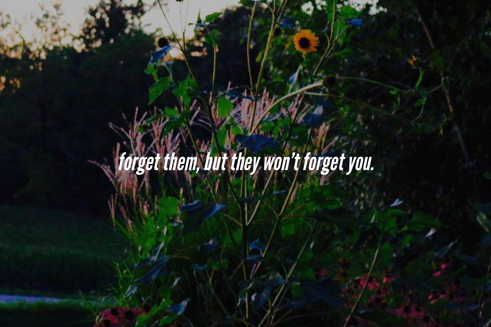 Rachel Wahlin Photography photo