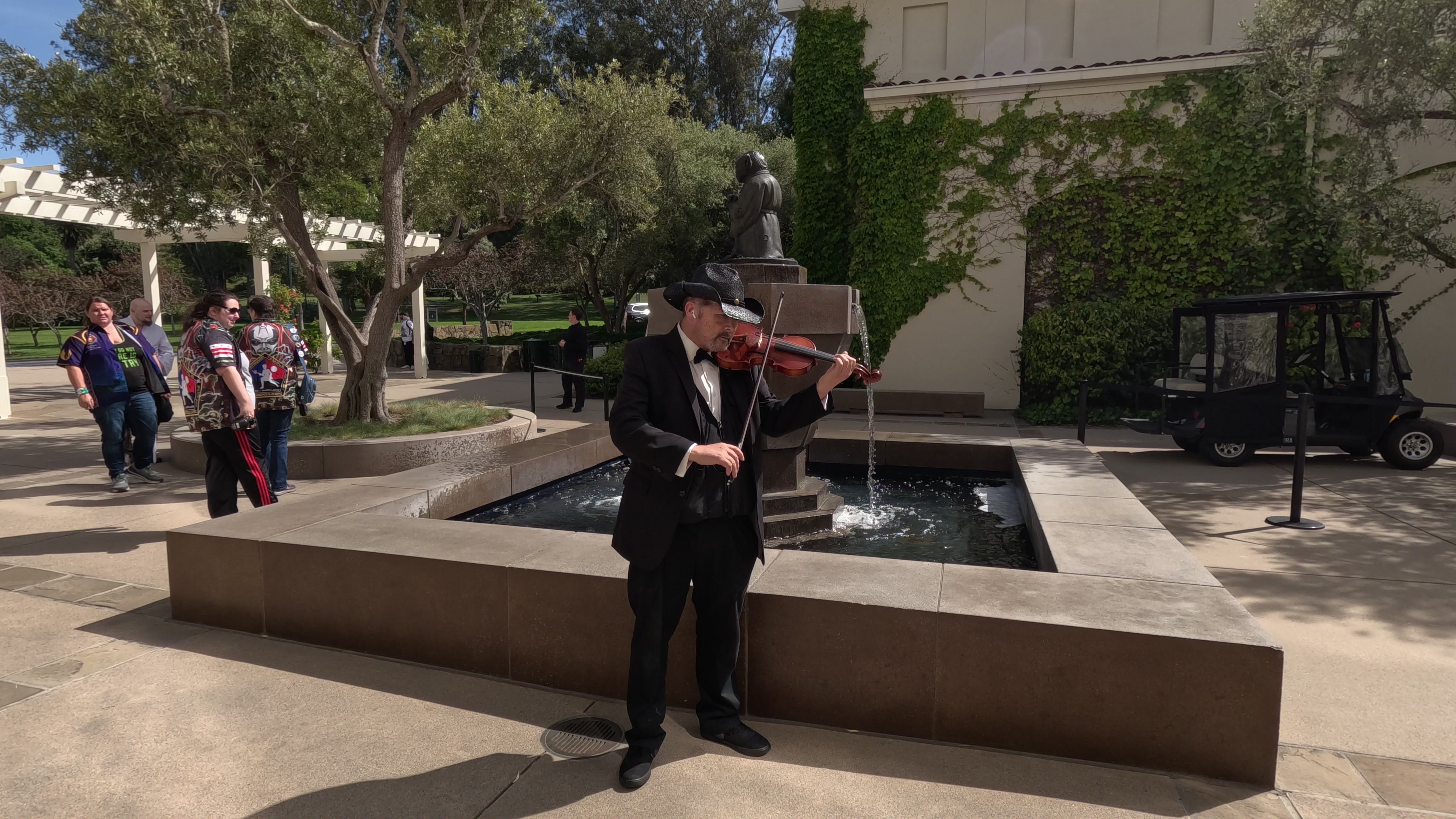 The Strolling Violinist photo