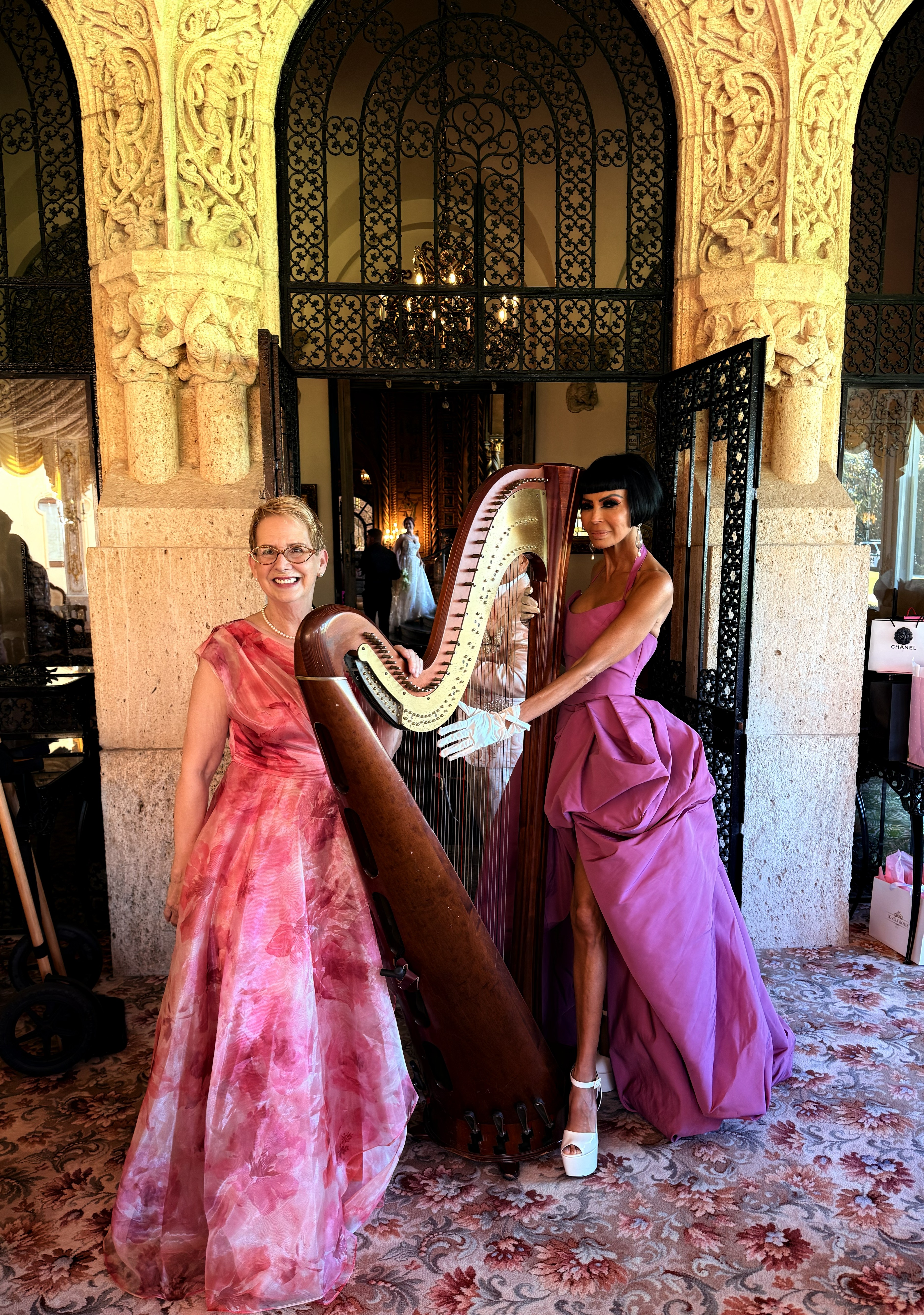 Elegant Music Collective photo