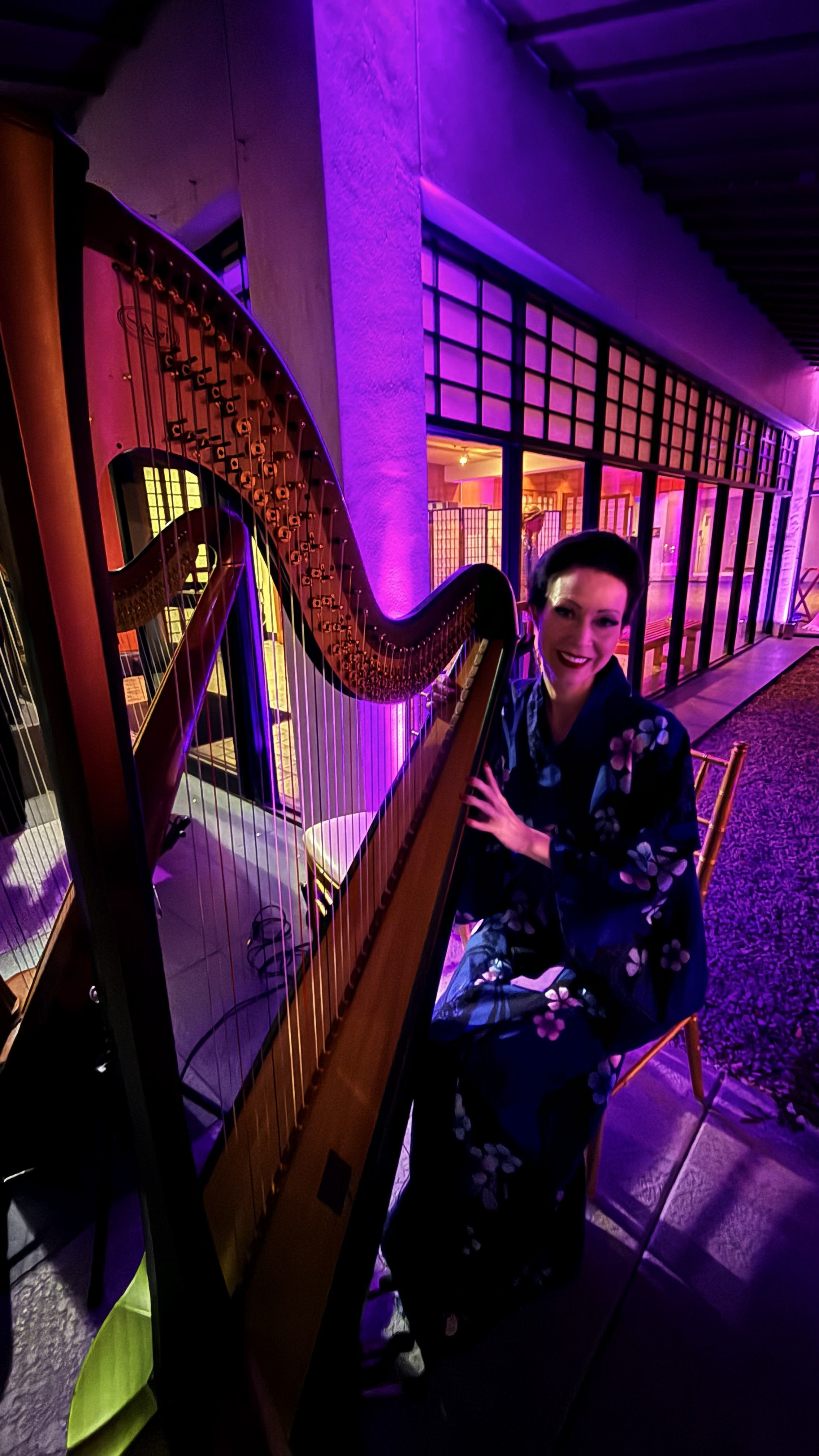 Elegant Music Collective photo