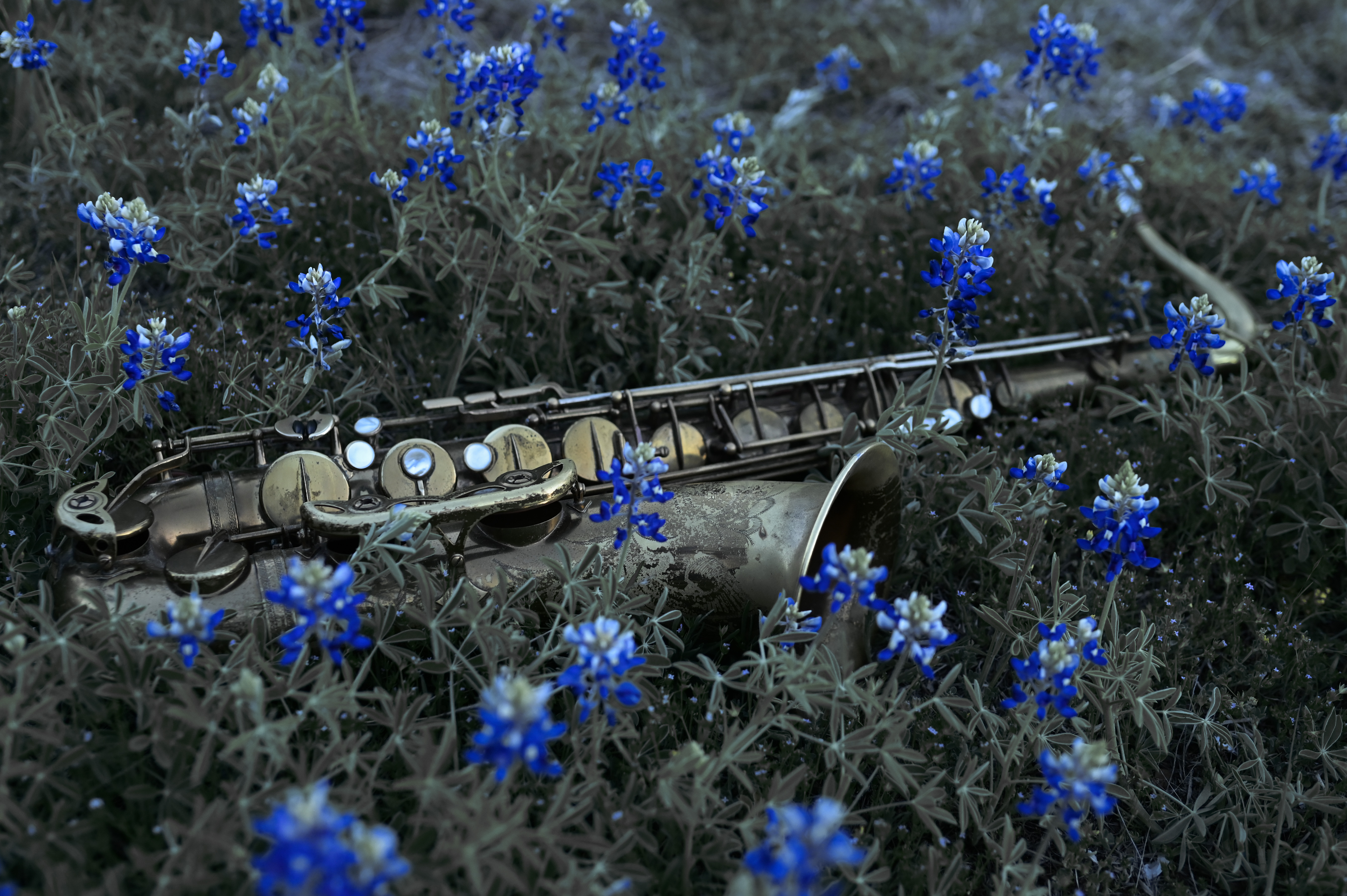 Soulful Sax Entertainment