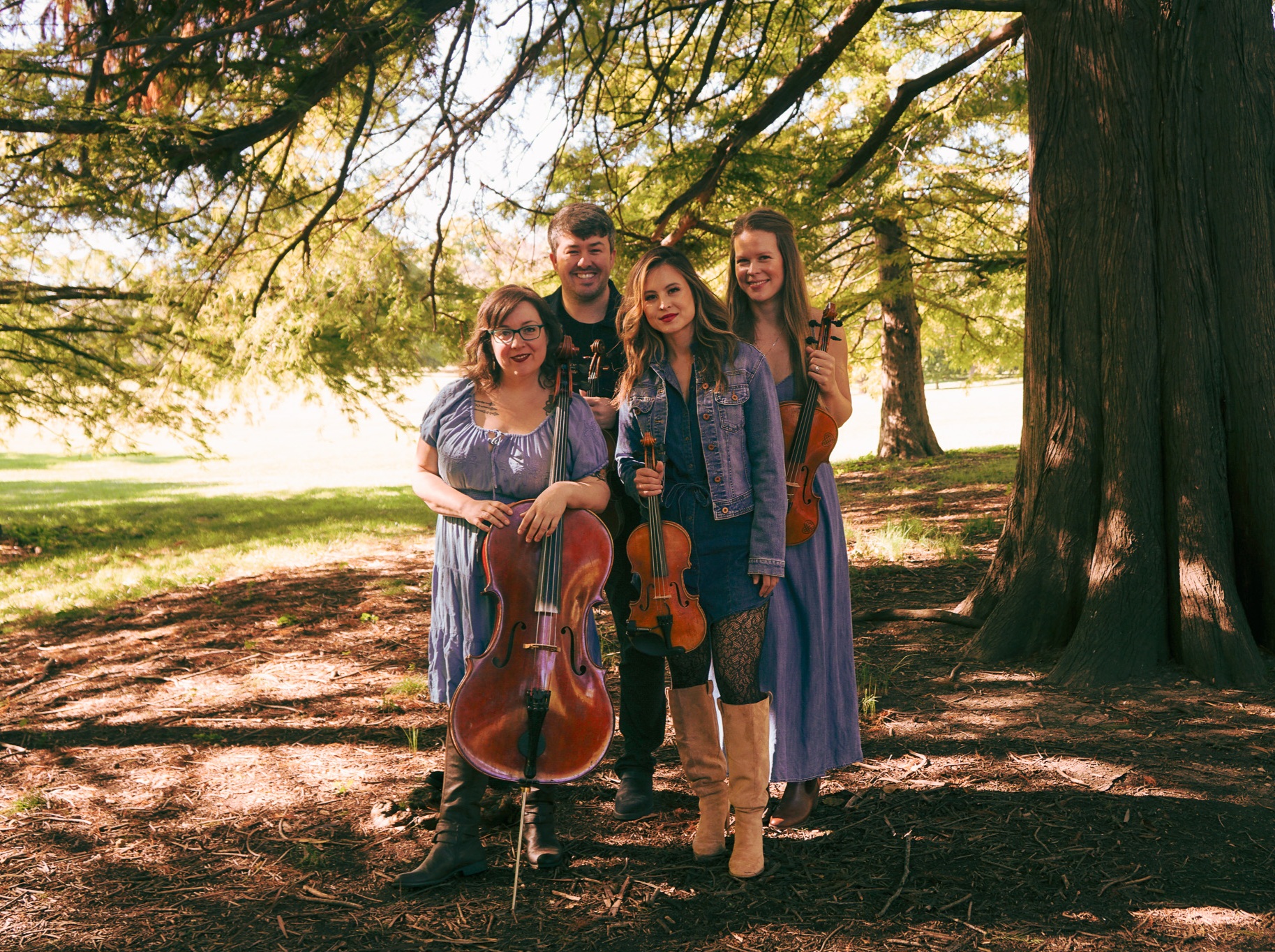 Fountain City String Quartet's Profile Photo