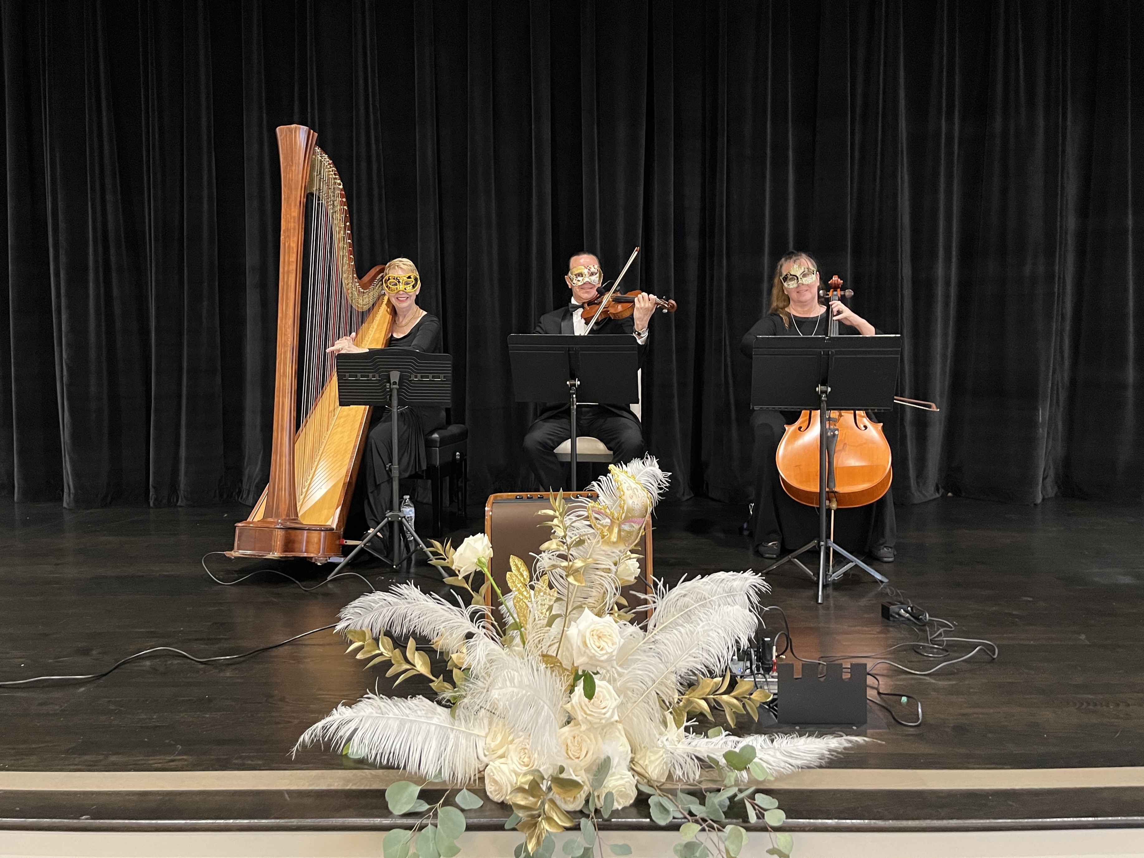 Elegant Music Collective photo