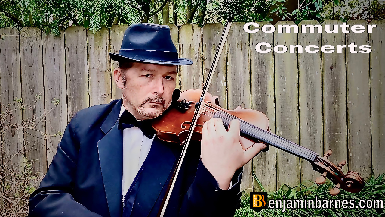 The Strolling Violinist photo