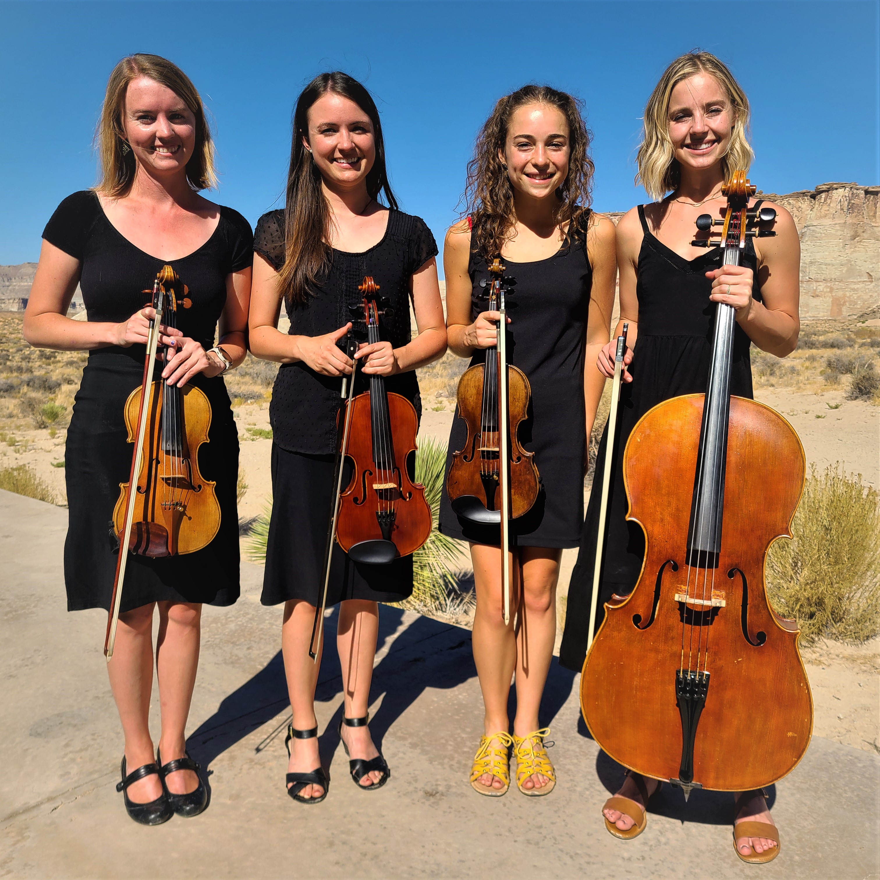 Skylight City String Quartet