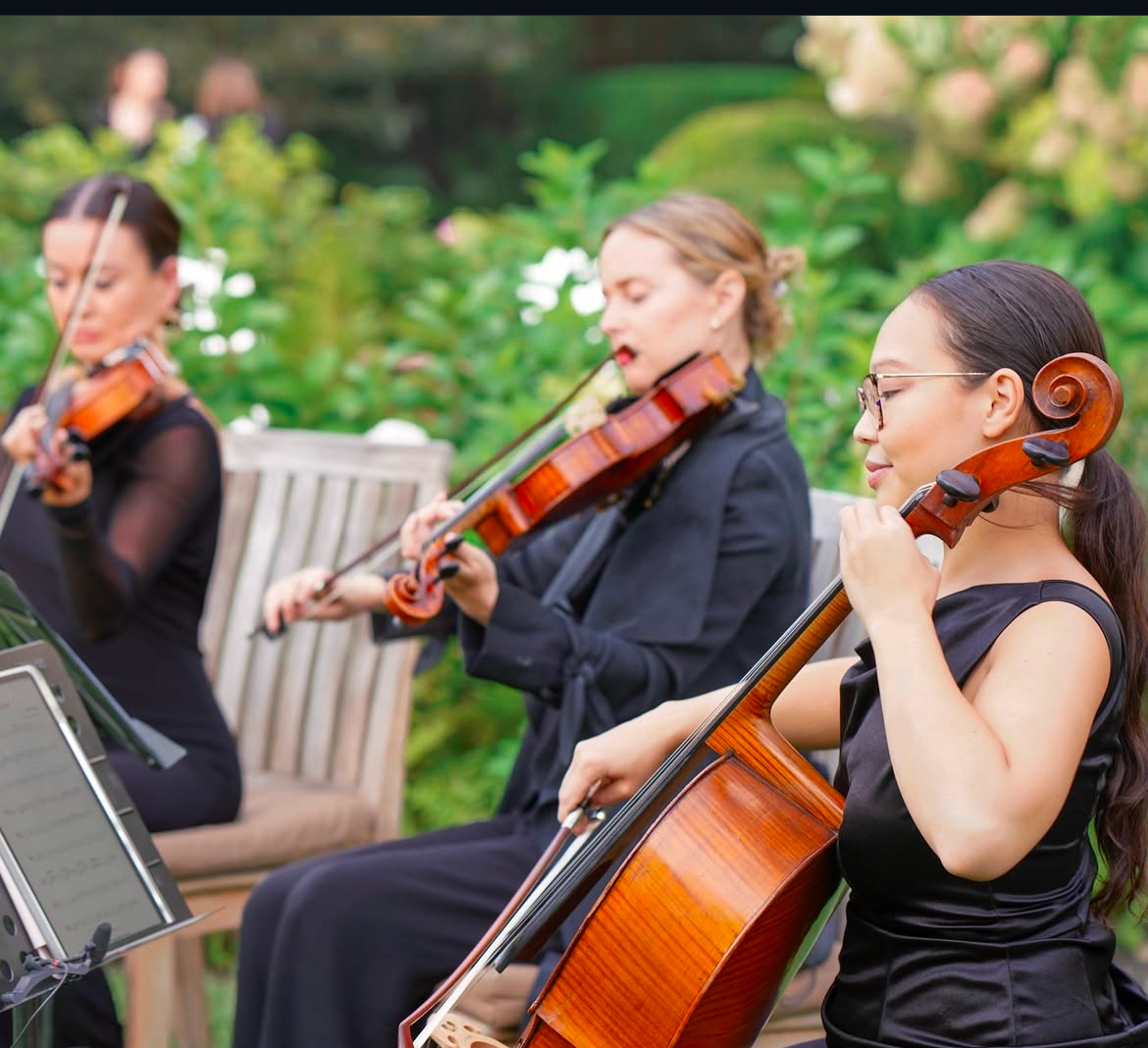 Opal Music Artists photo