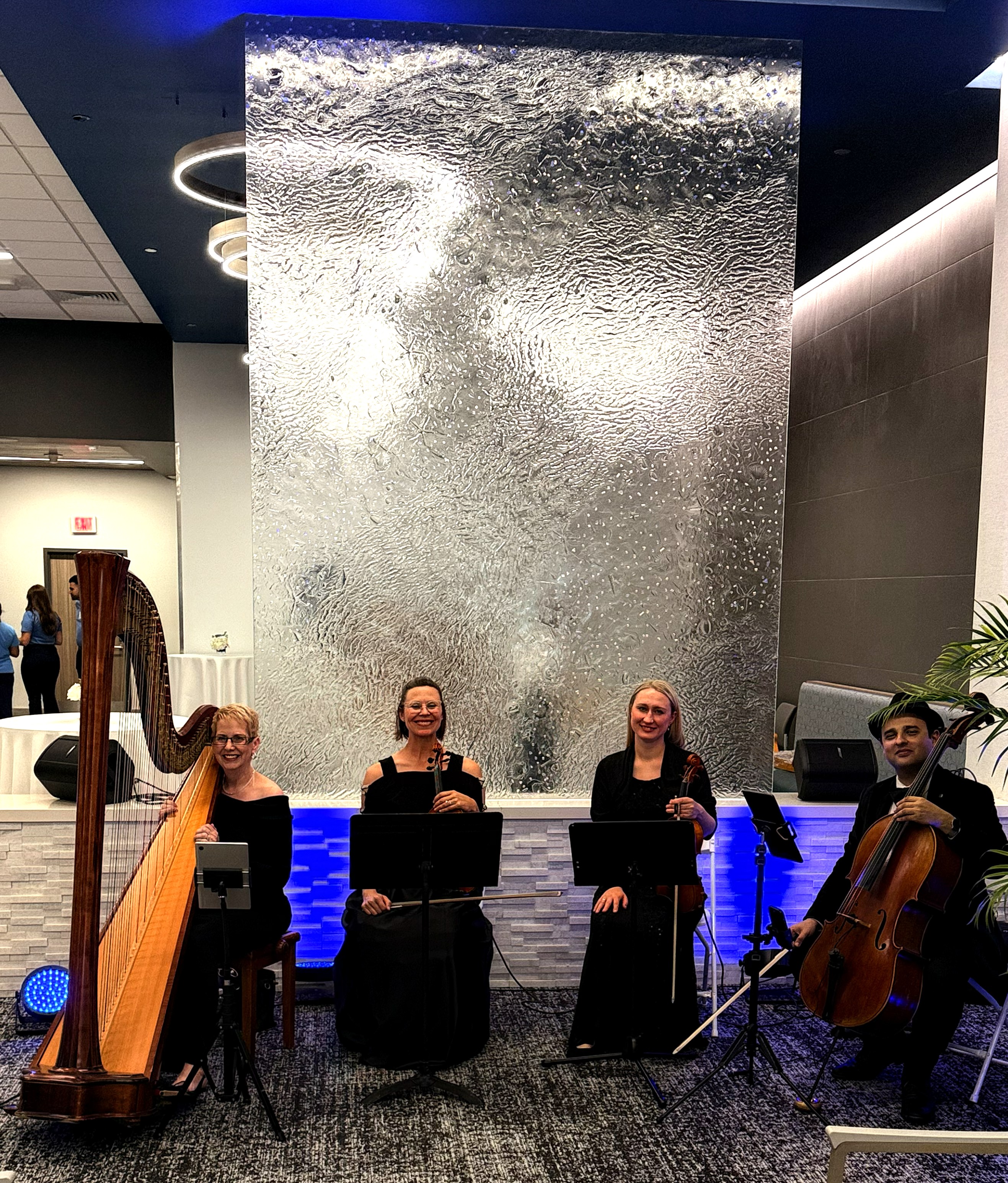 Elegant Music Collective photo