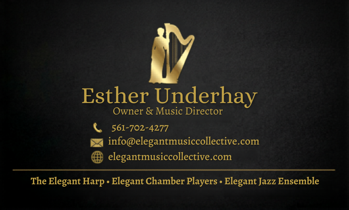 Elegant Music Collective photo
