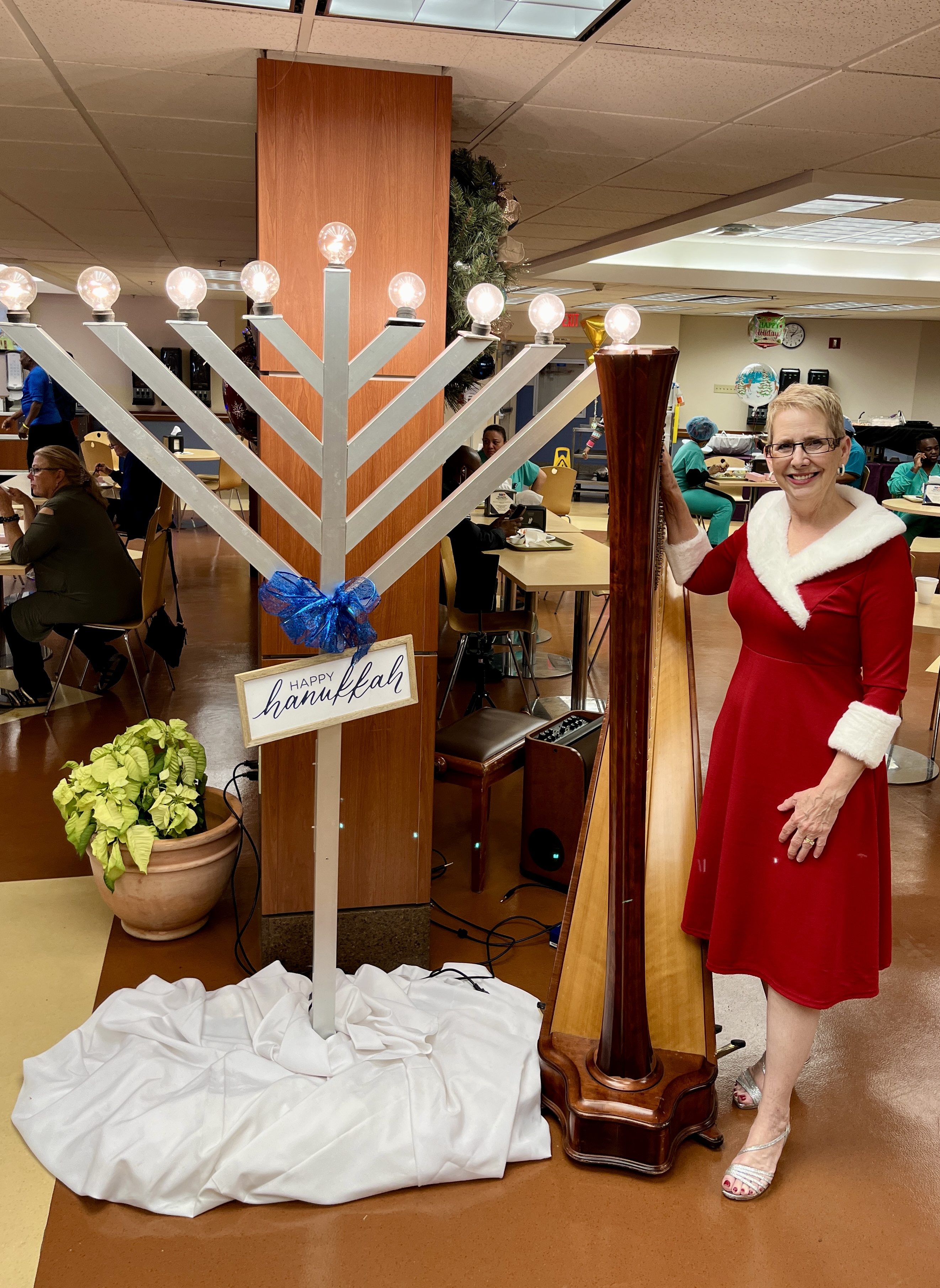 Elegant Music Collective photo