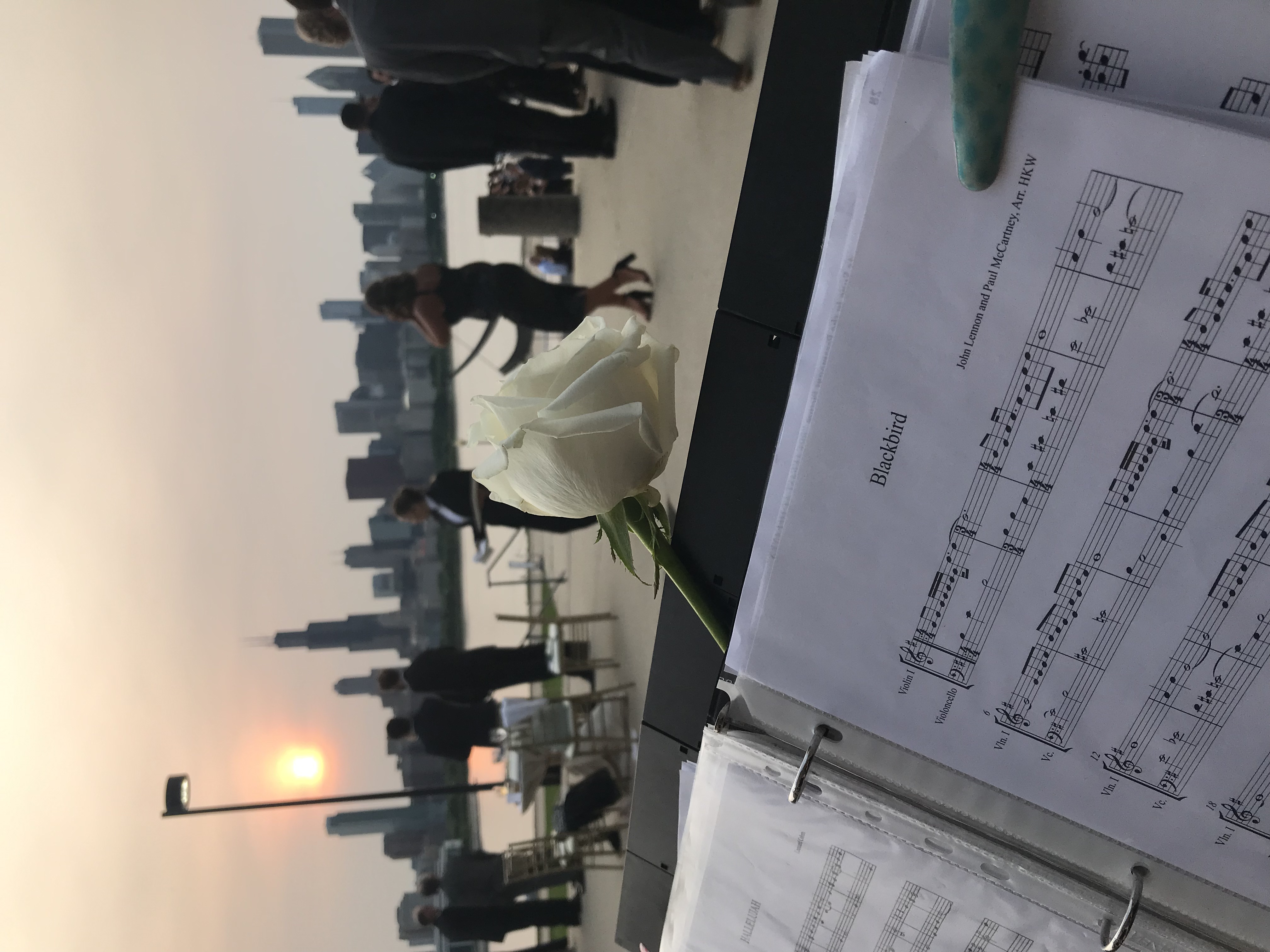 Chicago Street Strings photo