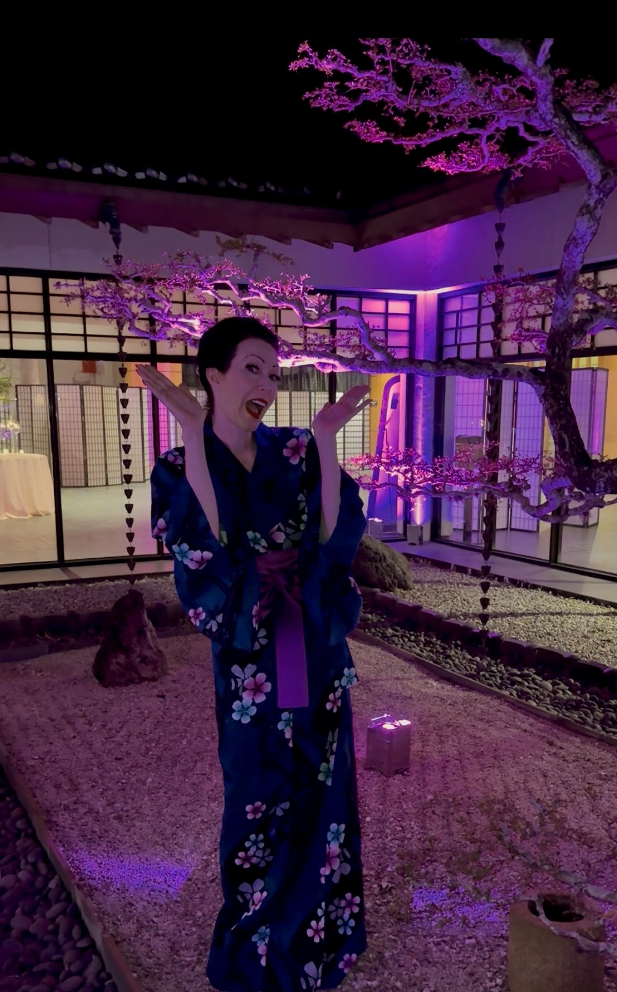 Elegant Music Collective photo