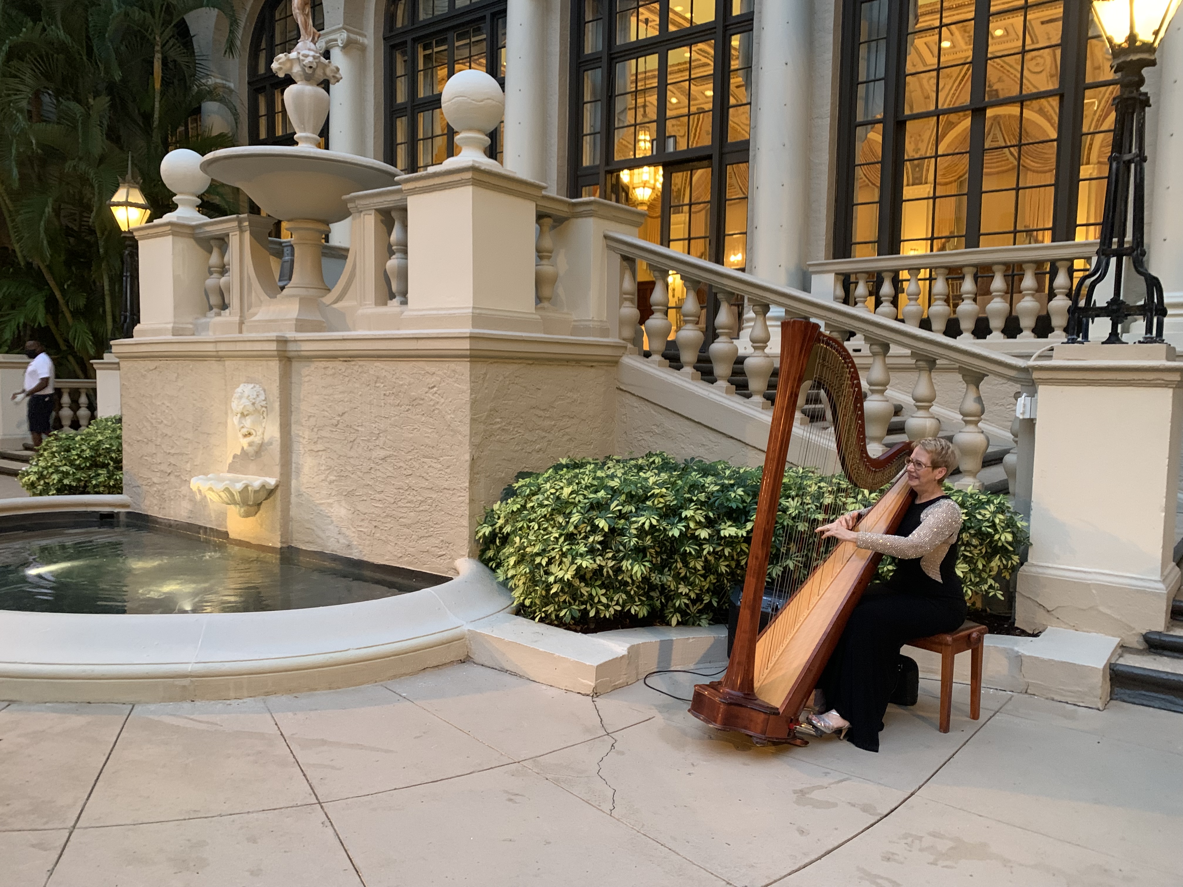 Elegant Music Collective photo