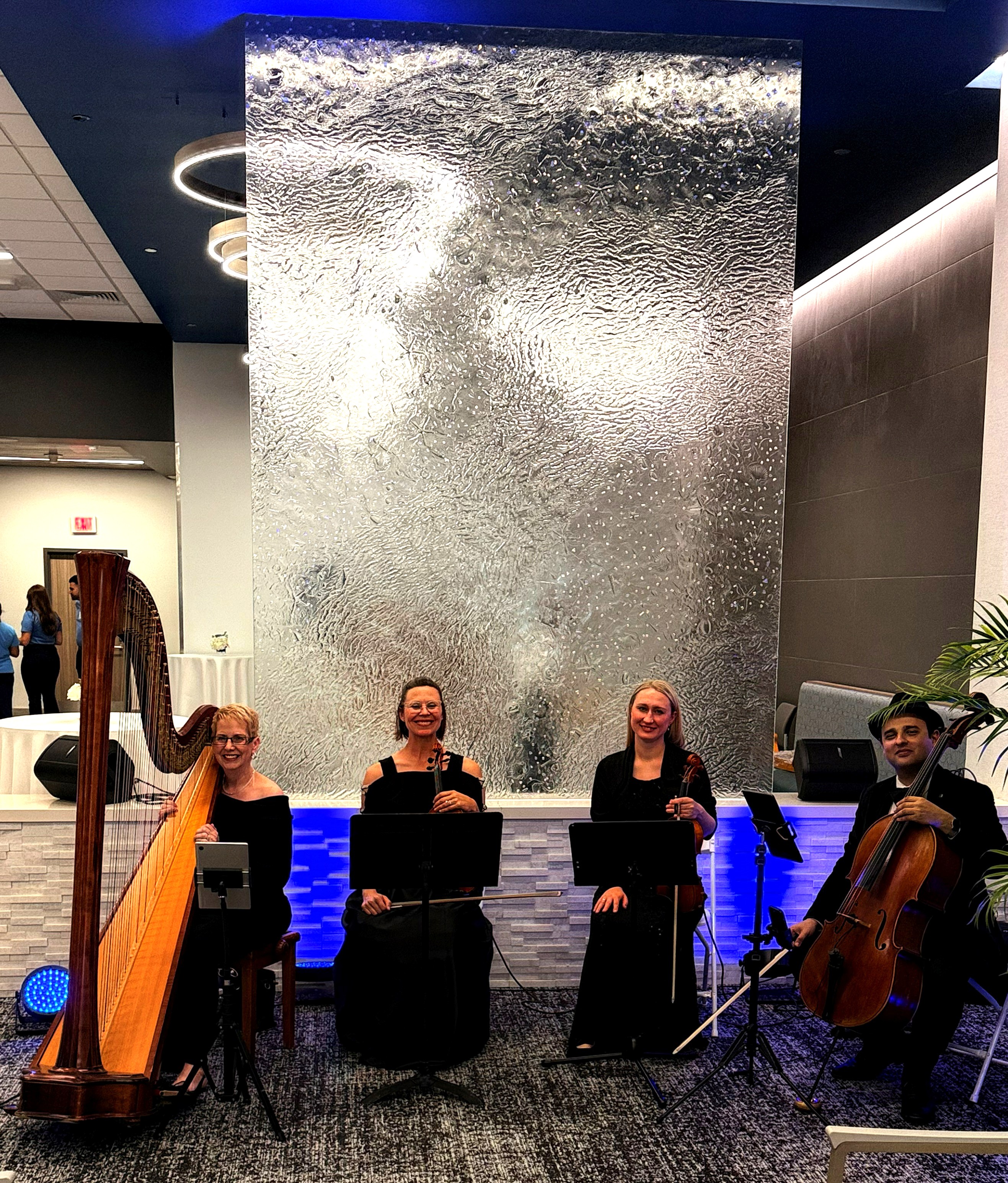 Elegant Music Collective photo