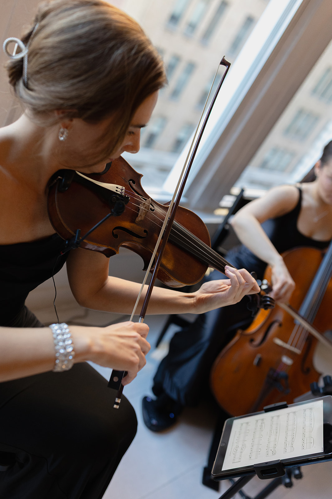 Opal Music Artists photo