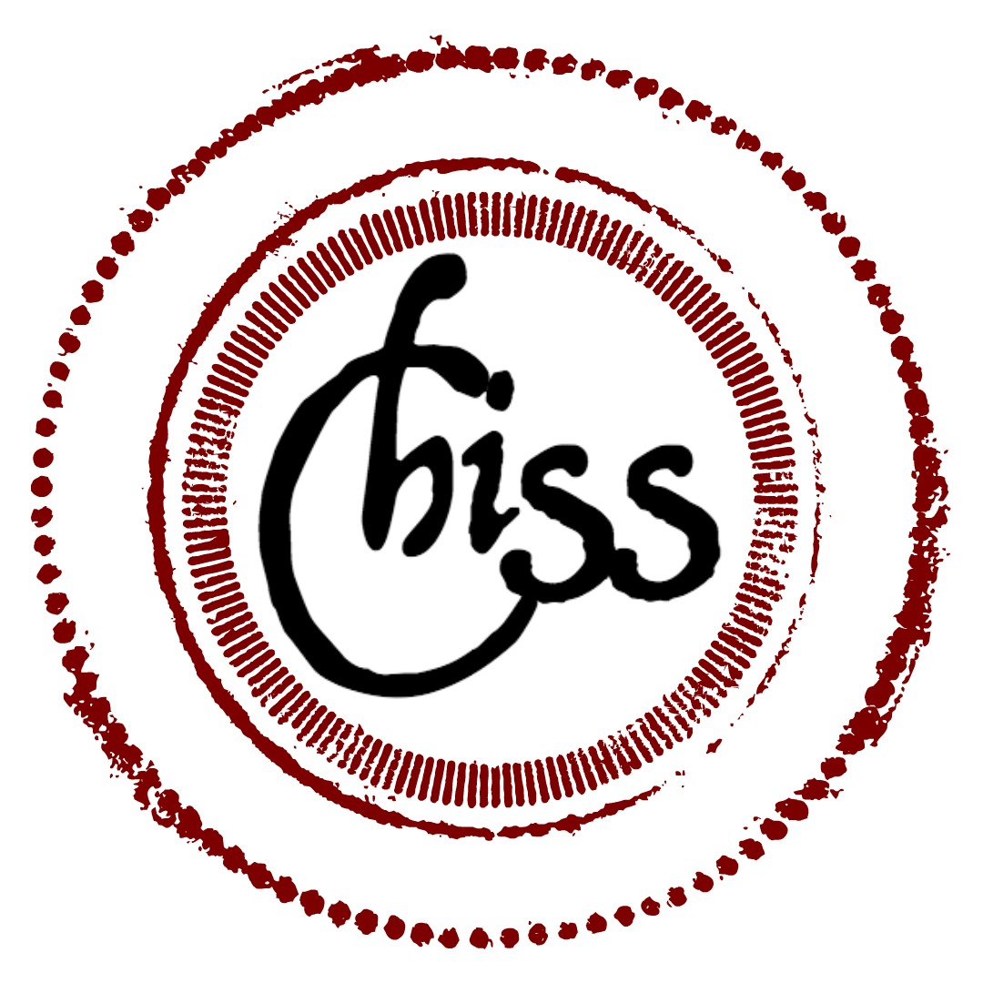 Chicago Street Strings photo