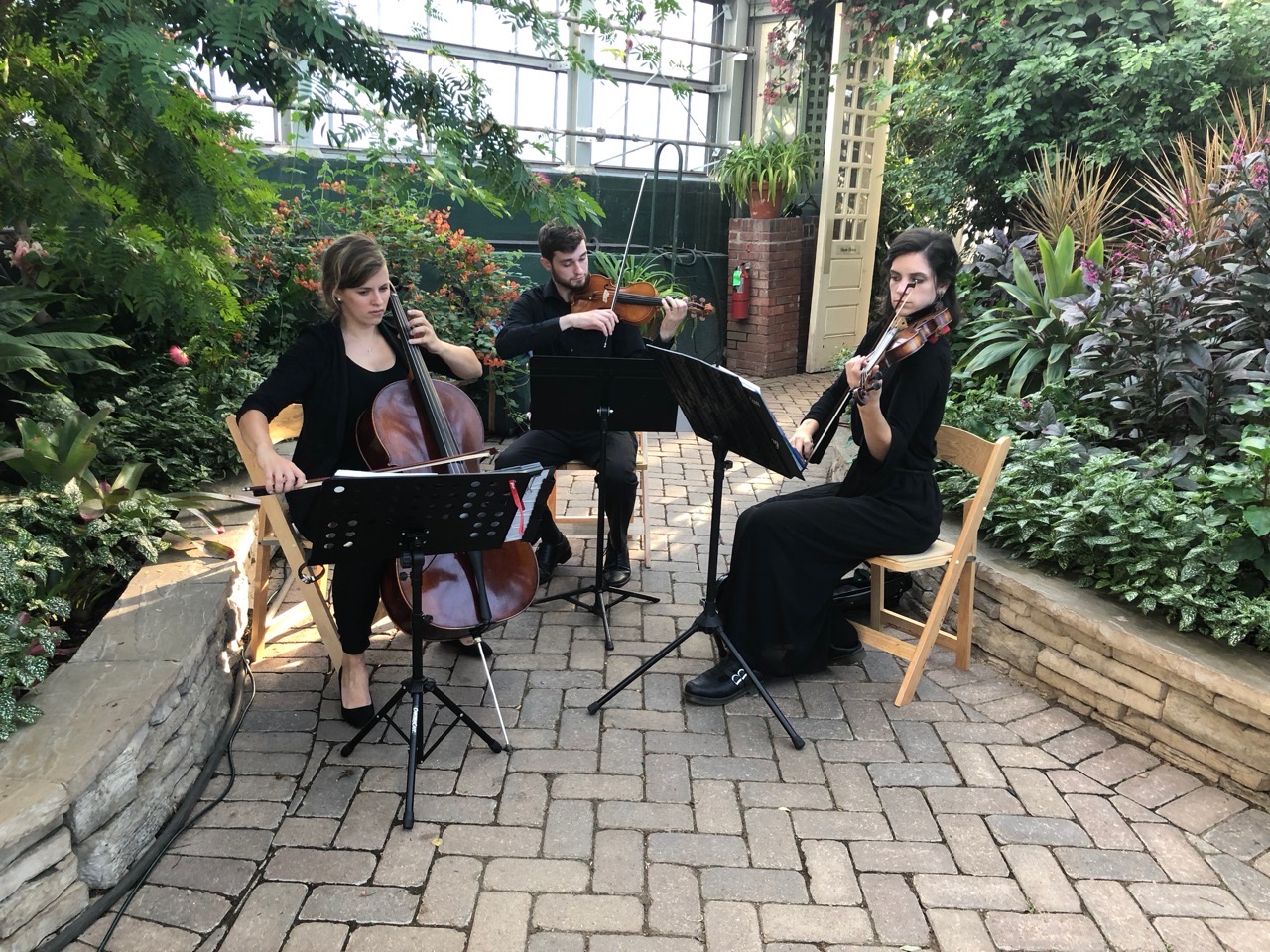 Dream City Strings photo