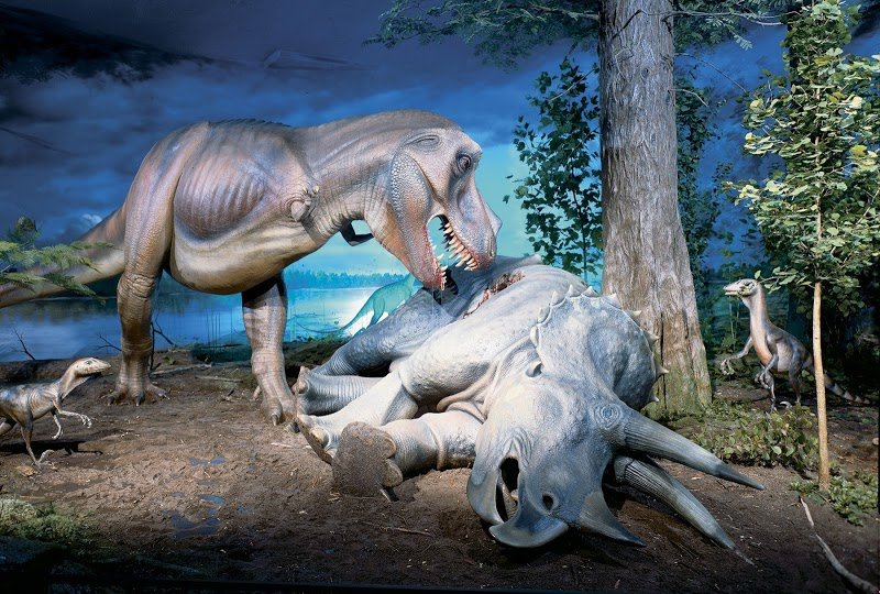 Milwaukee Public Museum cover picture