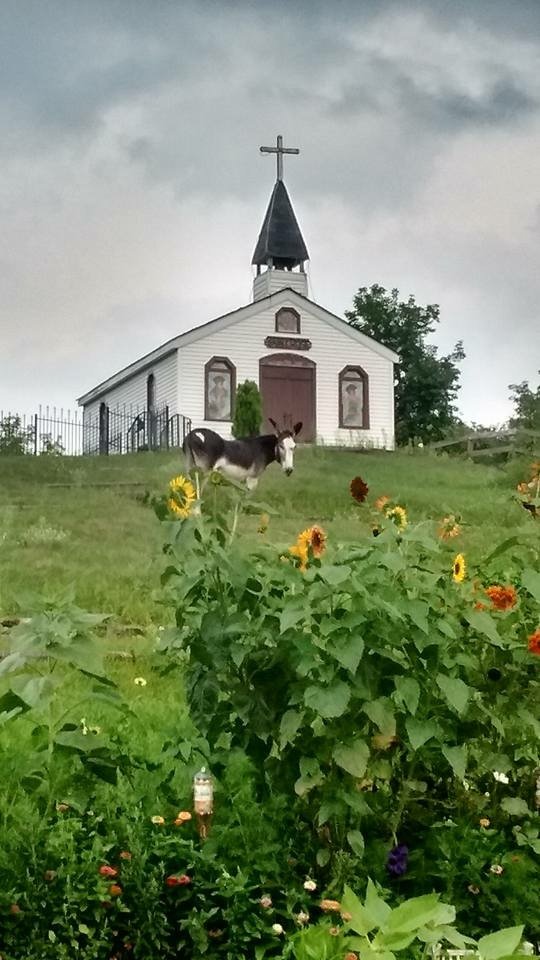Kettle Moraine Ranch cover picture