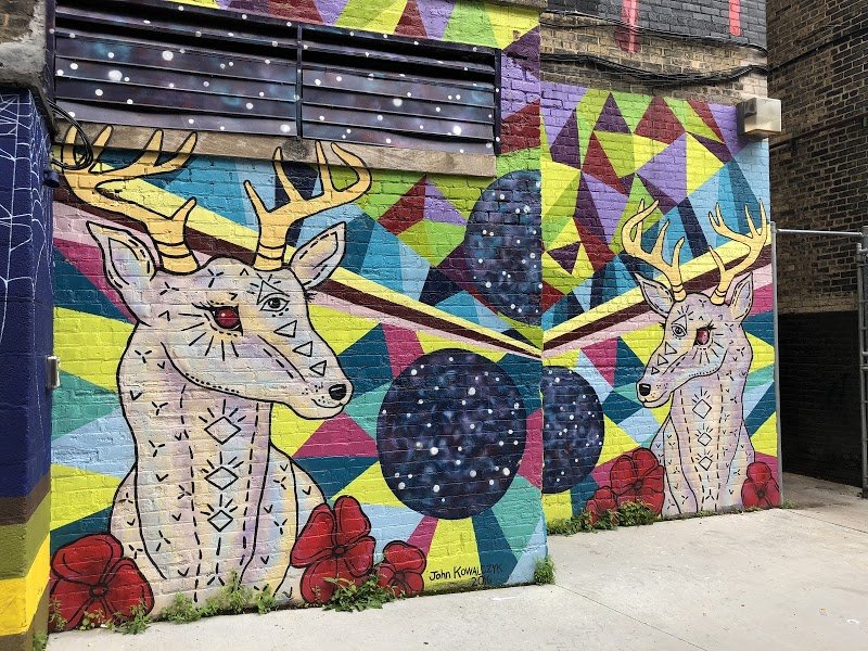 Milwaukee’s Black Cat Alley cover picture