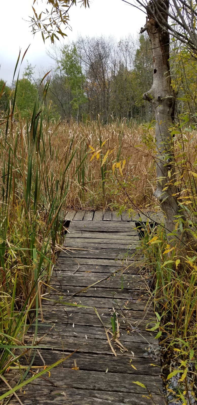 Audubon Nature Center cover picture
