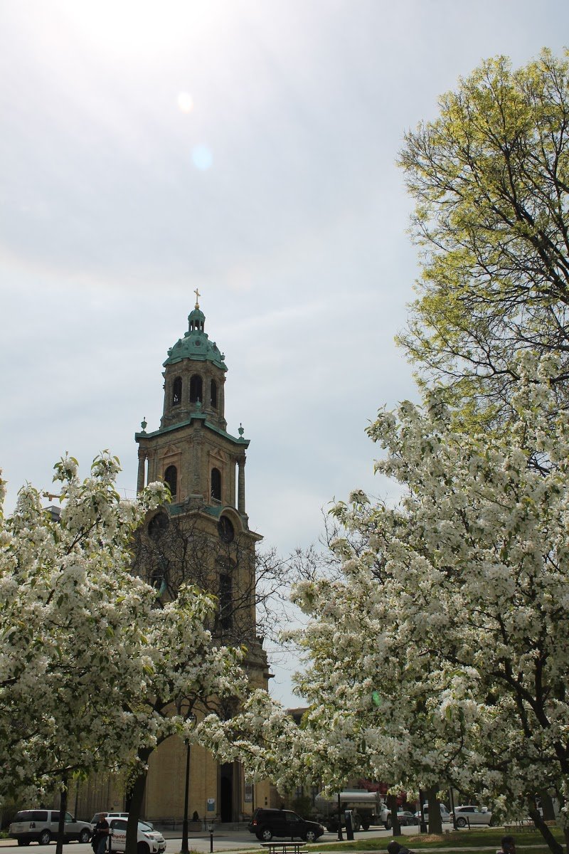 Cathedral of St. John the Baptist cover picture