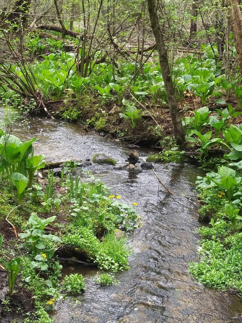 Retzer Nature Center cover picture