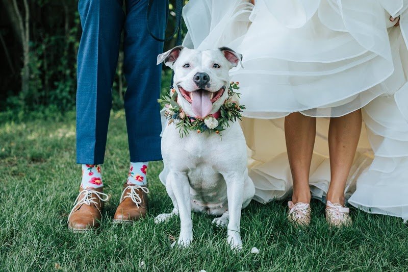 Cupola Barn cover picture
