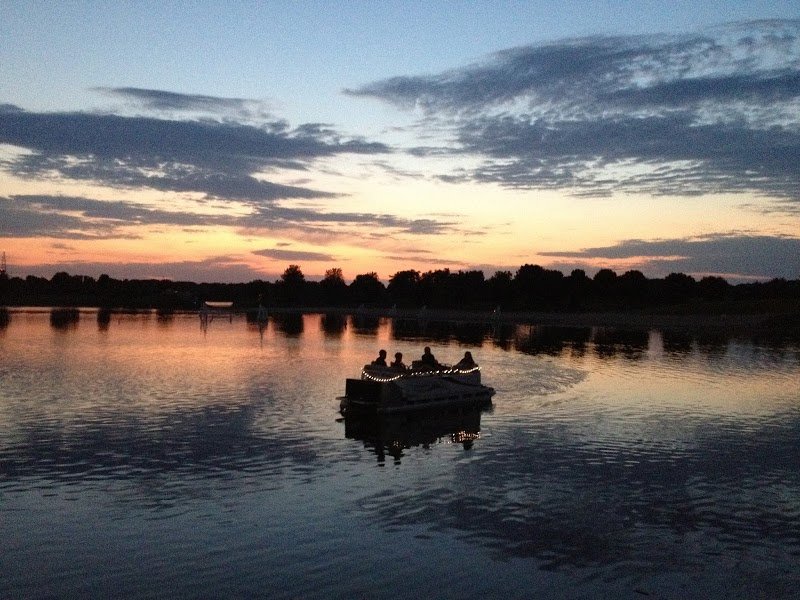Independence Grove Forest Preserve cover picture