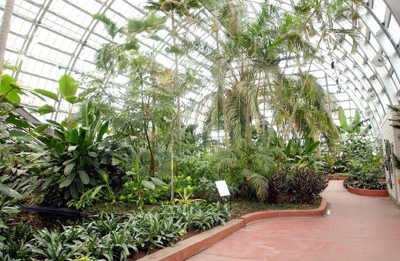 Garfield Park Conservatory cover picture