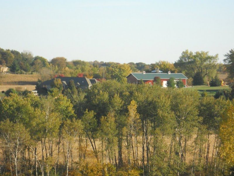 Fat Apple Farm cover picture